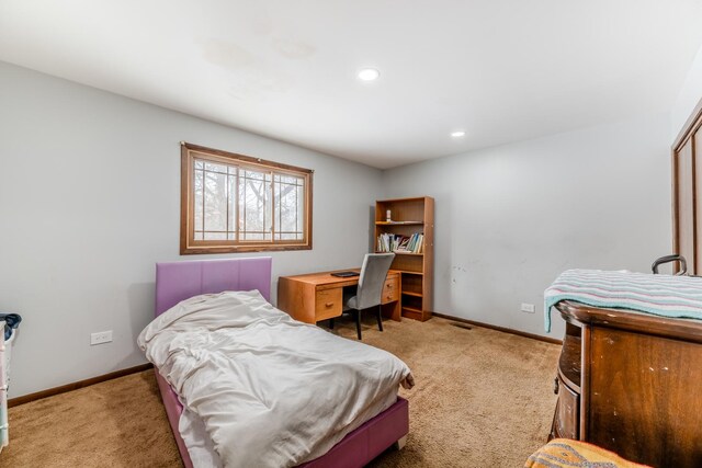 8821 W 100th St, Palos Hills, IL 60465 - photo 15