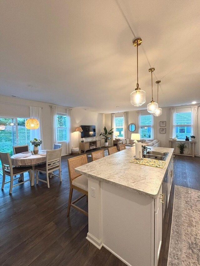 1135 Williamsburg St, Pingree Grove, IL 60140 - kitchen featuring dark wood-style flooring, a kitchen island with sink, light countertops, and pendant lighting