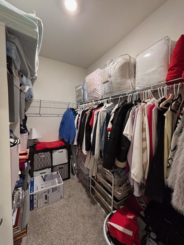 1135 Williamsburg St, Pingree Grove, IL 60140 - walk in closet with carpet flooring