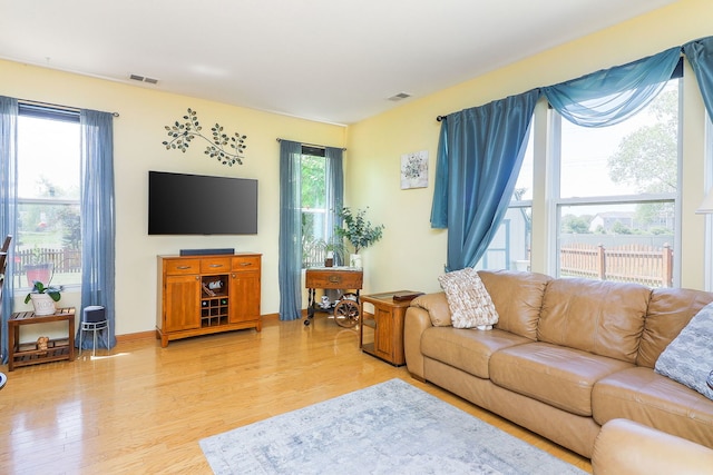 3707 Bowie Ct, Joliet, IL 60435 - living room featuring light wood-style flooring