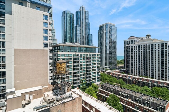 100 E 14th St Unit 1301, Chicago, IL 60605 - photo 21