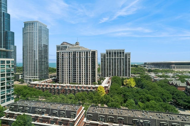 100 E 14th St Unit 1301, Chicago, IL 60605