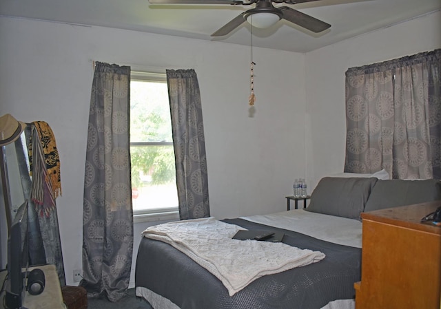 516 Clifton Dr, Round Lake Park, IL 60073 - bedroom with ceiling fan