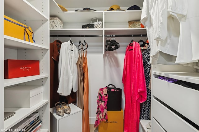 1470 Jefferson St Unit 602, Des Plaines, IL 60016 - view of walk in closet