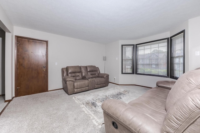 2003 Tracy Dr Unit 1, Bloomington, IL 61704 - living area featuring baseboards and carpet flooring