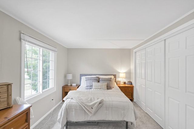 93 Faringdon Dr, Crystal Lake, IL 60014 - bedroom with light carpet, a closet, and crown molding