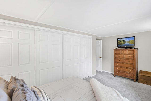 93 Faringdon Dr, Crystal Lake, IL 60014 - bedroom featuring carpet floors and a closet