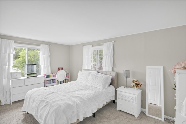 93 Faringdon Dr, Crystal Lake, IL 60014 - bedroom with light carpet