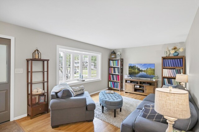 93 Faringdon Dr, Crystal Lake, IL 60014 - living area with light wood-style floors and baseboards