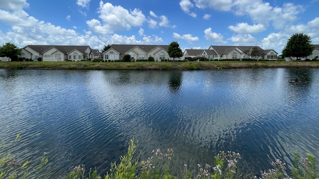 2726 J T Coffman Dr Unit 2726, Champaign, IL 61822 - photo 3