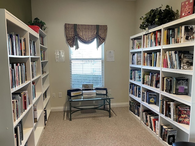 2726 J T Coffman Dr Unit 2726, Champaign, IL 61822 - photo 65