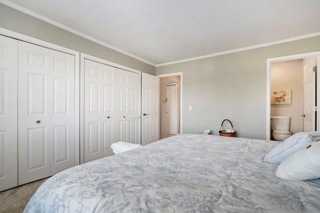 3256 Sanders Rd Unit 4E, Northbrook, IL 60062 - bedroom featuring multiple closets, crown molding, carpet, and connected bathroom
