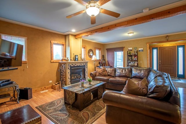 7842 S Blazer Ave, Justice, IL 60458 - living area with wood finished floors, a glass covered fireplace, crown molding, and a ceiling fan