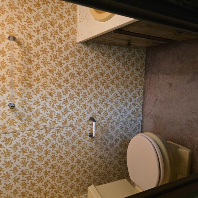 16306 W Canada Rd, Polo, IL 61064 - bathroom with toilet