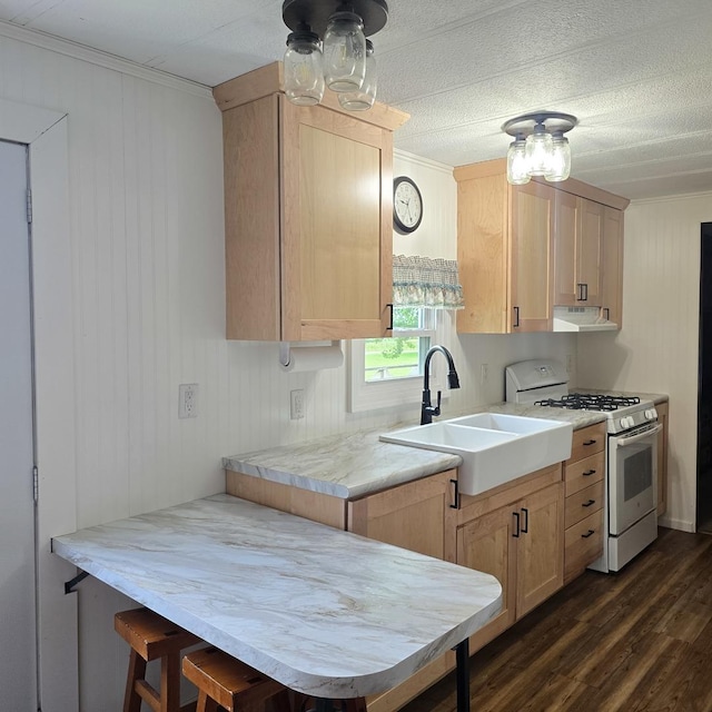 16306 W Canada Rd, Polo, IL 61064 - kitchen featuring white range with gas stovetop, light brown cabinetry, dark wood-style floors, ornamental molding, and under cabinet range hood
