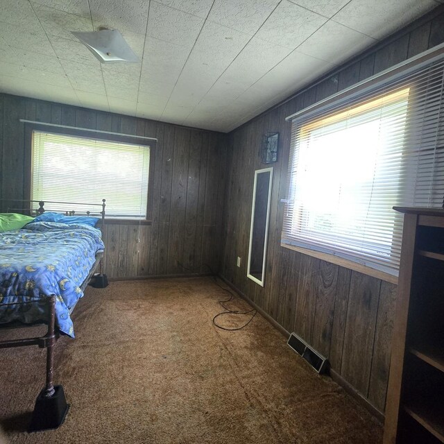 16306 W Canada Rd, Polo, IL 61064 - bedroom featuring carpet and wood walls