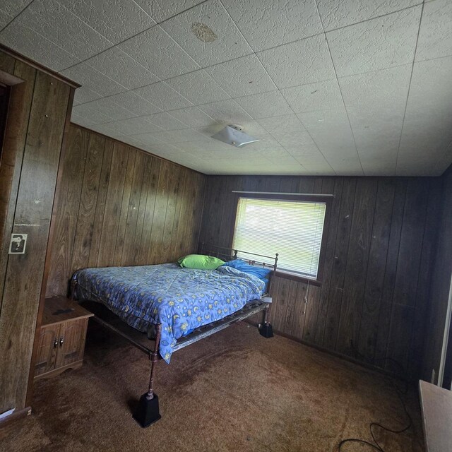 16306 W Canada Rd, Polo, IL 61064 - bedroom with wooden walls and carpet floors