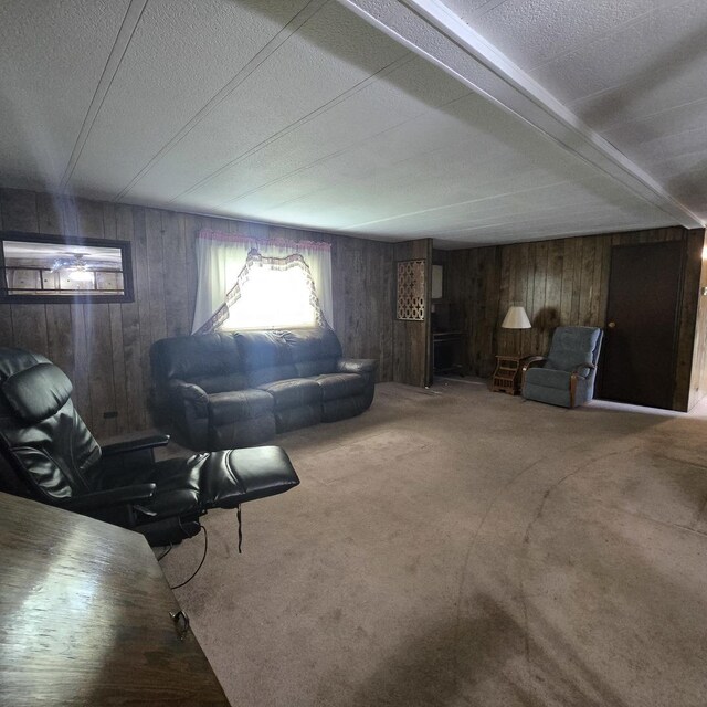 16306 W Canada Rd, Polo, IL 61064 - carpeted living area featuring wooden walls and a textured ceiling