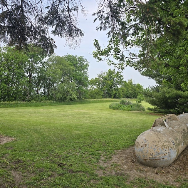 16306 W Canada Rd, Polo, IL 61064 - view of green lawn