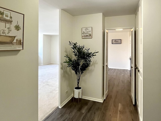 4250 N Marine Dr Unit 1230, Chicago, IL 60613 - photo 4