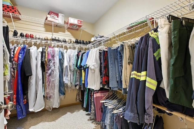2943 Heather Ln, Montgomery, IL 60538 - walk in closet featuring carpet