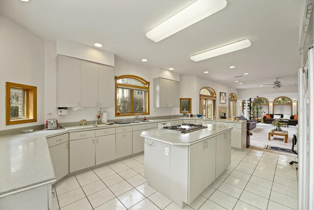 2410 Halina Dr, Glenview, IL 60026 - photo 13