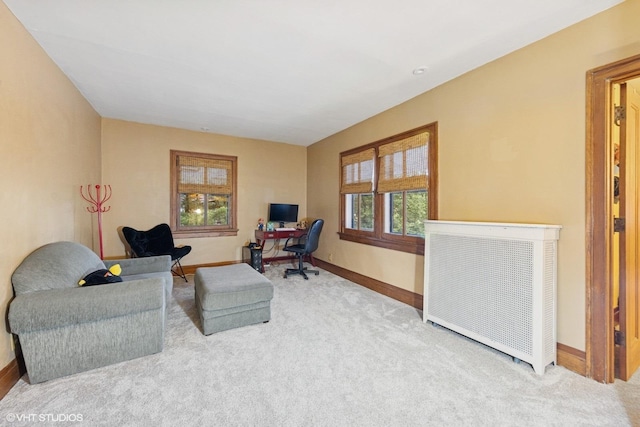 710 W Downer Pl, Aurora, IL 60506 - living area with carpet floors and a desk