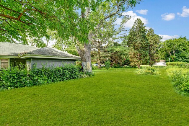 4031 Venard Rd, Downers Grove, IL 60515 - photo 6
