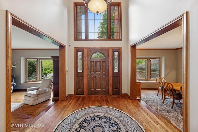 3104 Royal Fox Dr, Saint Charles, IL 60174 - foyer featuring wood finished floors, plenty of natural light, crown molding, and a towering ceiling