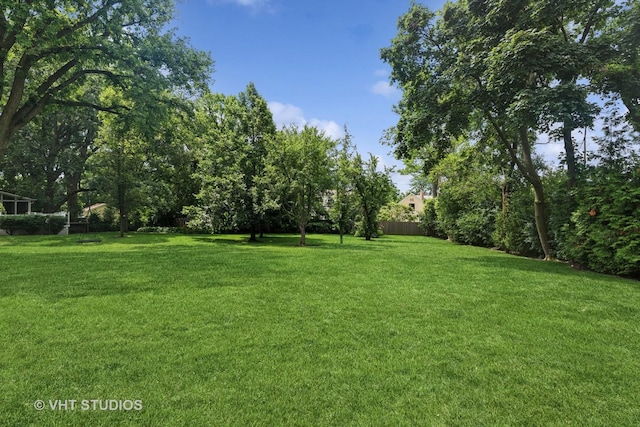 1200 Green Bay Rd, Glencoe, IL 60022 - view of yard