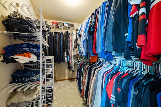 2717 Meadow Path, New Lenox, IL 60451 - spacious closet featuring carpet flooring