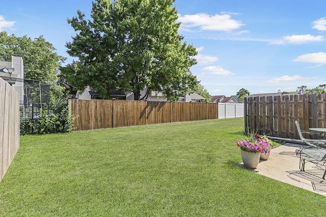 323 Vista Ct Unit C, Minooka, IL 60447 - fenced backyard with a patio