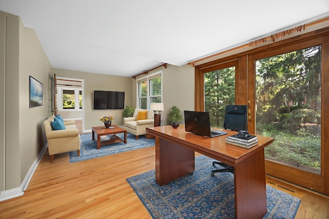 4416 Seeley Ave, Downers Grove, IL 60515 - office space with light wood-style flooring and plenty of natural light