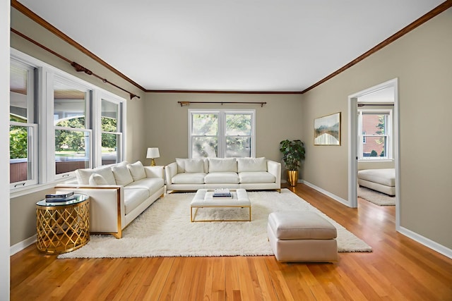 4416 Seeley Ave, Downers Grove, IL 60515 - living room featuring crown molding and wood finished floors