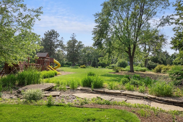 4416 Seeley Ave, Downers Grove, IL 60515 - view of green lawn with a playground