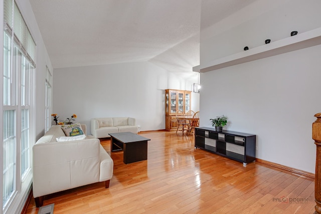 4900 Dukesberry Ln, Hoffman Estates, IL 60010 - living area with light wood-style floors and vaulted ceiling