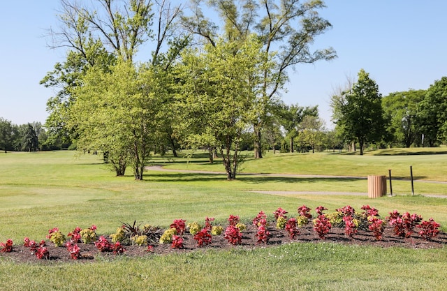 7830 W 157th St, Orland Park, IL 60462 - view of property's community with view of scattered trees and golf course view