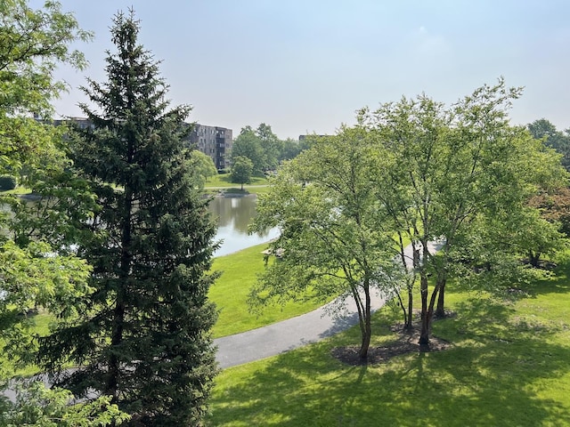 805 Leicester Rd Unit 320, Elk Grove Village, IL 60007 - water view