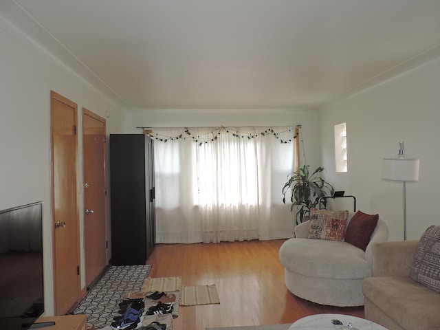 5063 N Menard Ave, Chicago, IL 60630 - living room with light wood-style floors