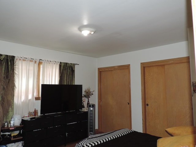 5063 N Menard Ave, Chicago, IL 60630 - bedroom with multiple closets