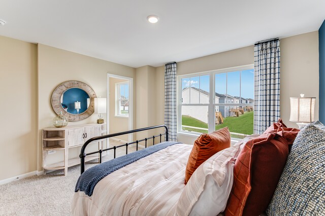 530 S Kincaid St, Maple Park, IL 60151 - bedroom with a closet and light colored carpet