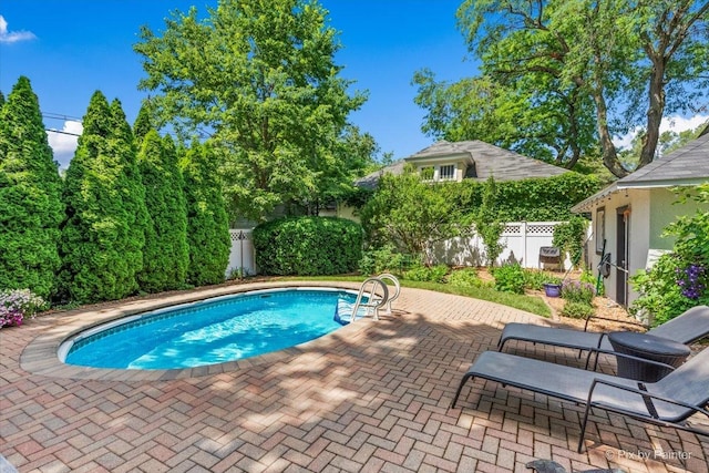 558 W Downer Pl, Aurora, IL 60506 - view of pool with a patio area and a fenced backyard
