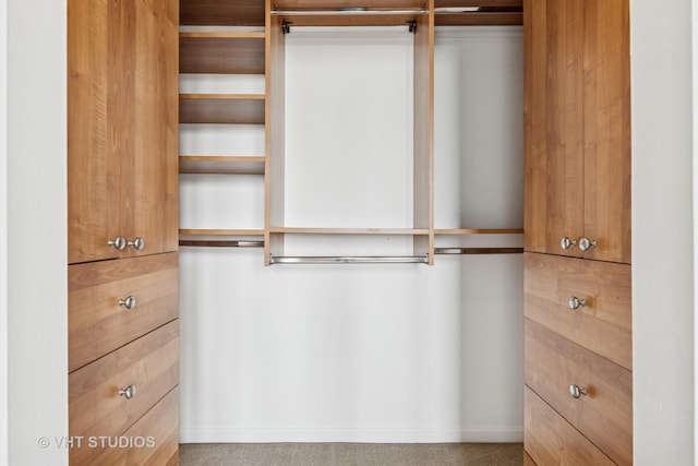 331 S Peoria St Unit Ph6, Chicago, IL 60607 - view of spacious closet