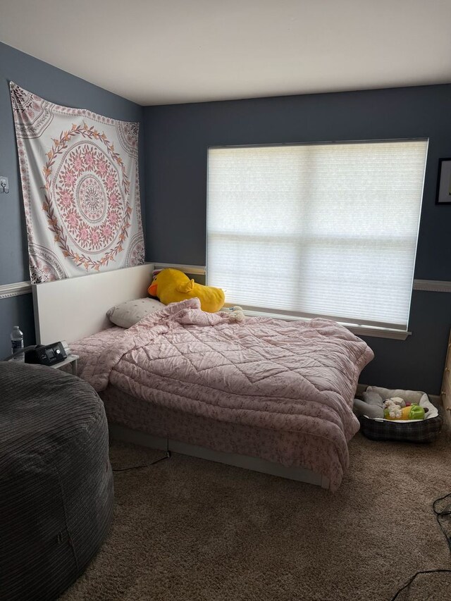 352 Bay Dr, Itasca, IL 60143 - view of carpeted bedroom