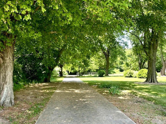 13809 Pine Rd, Dewitt, IL 61735 - view of community with a lawn