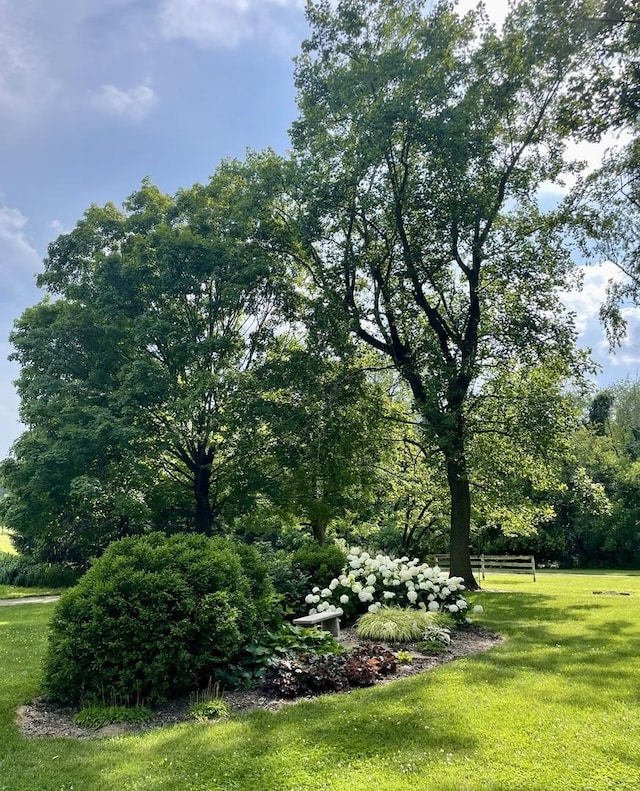 13809 Pine Rd, Dewitt, IL 61735 - view of grassy yard