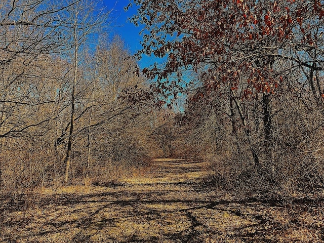 13809 Pine Rd, Dewitt, IL 61735 - view of woods