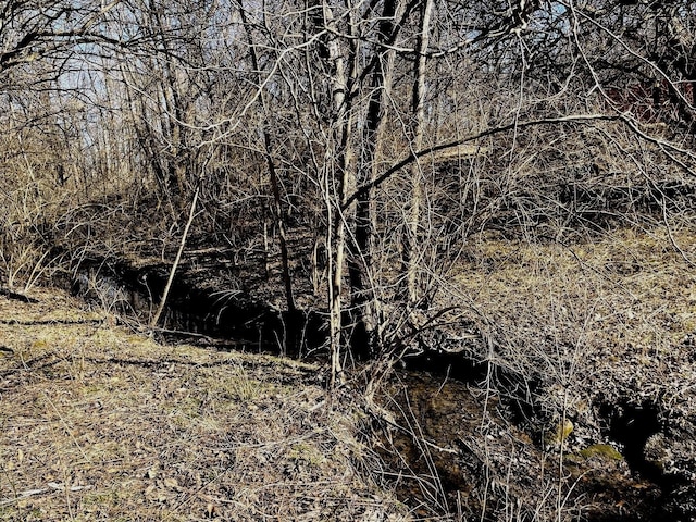 13809 Pine Rd, Dewitt, IL 61735 - view of nature
