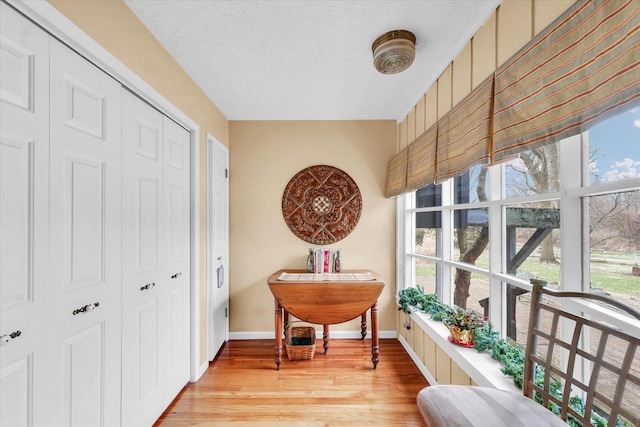 13809 Pine Rd, Dewitt, IL 61735 - sunroom / solarium featuring plenty of natural light