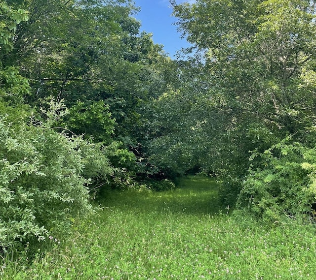 13809 Pine Rd, Dewitt, IL 61735 - view of woods